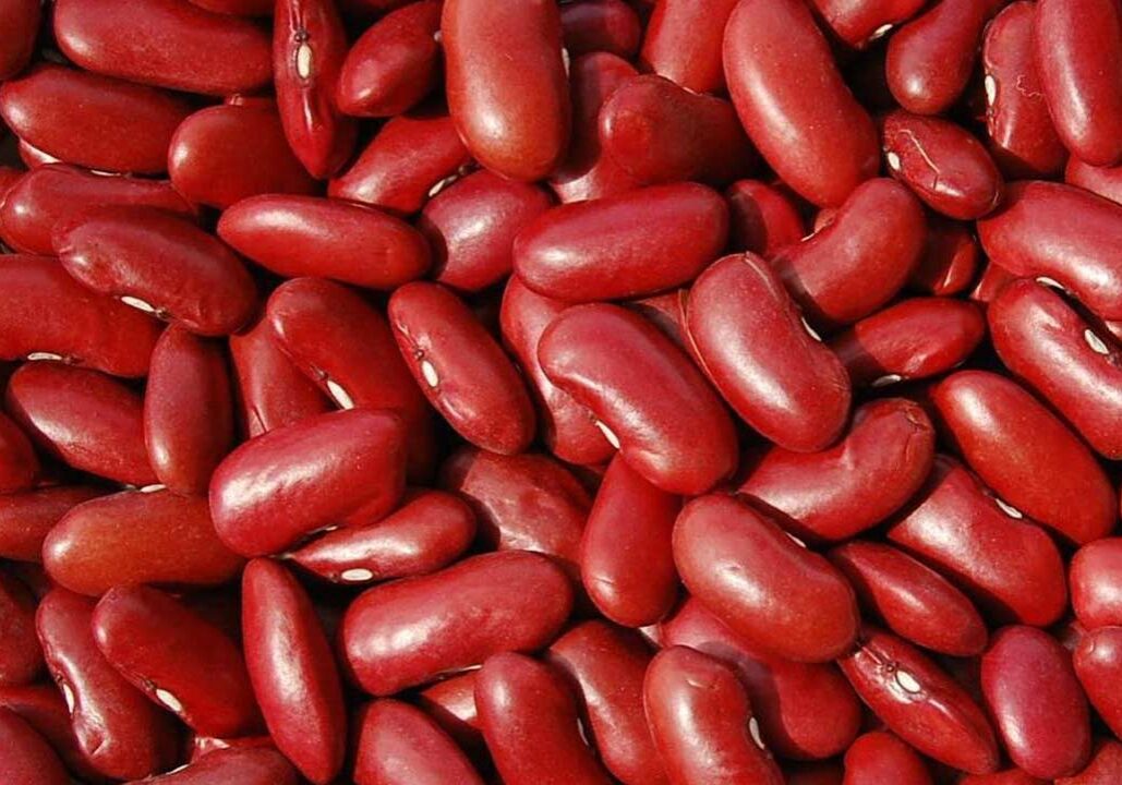 Dark-Red-Beans