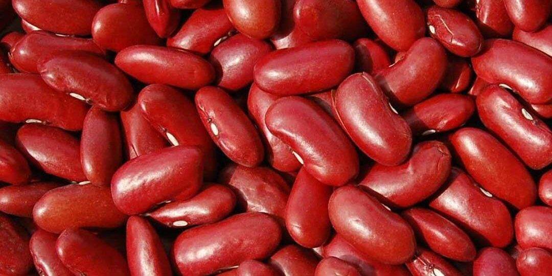 Dark-Red-Beans