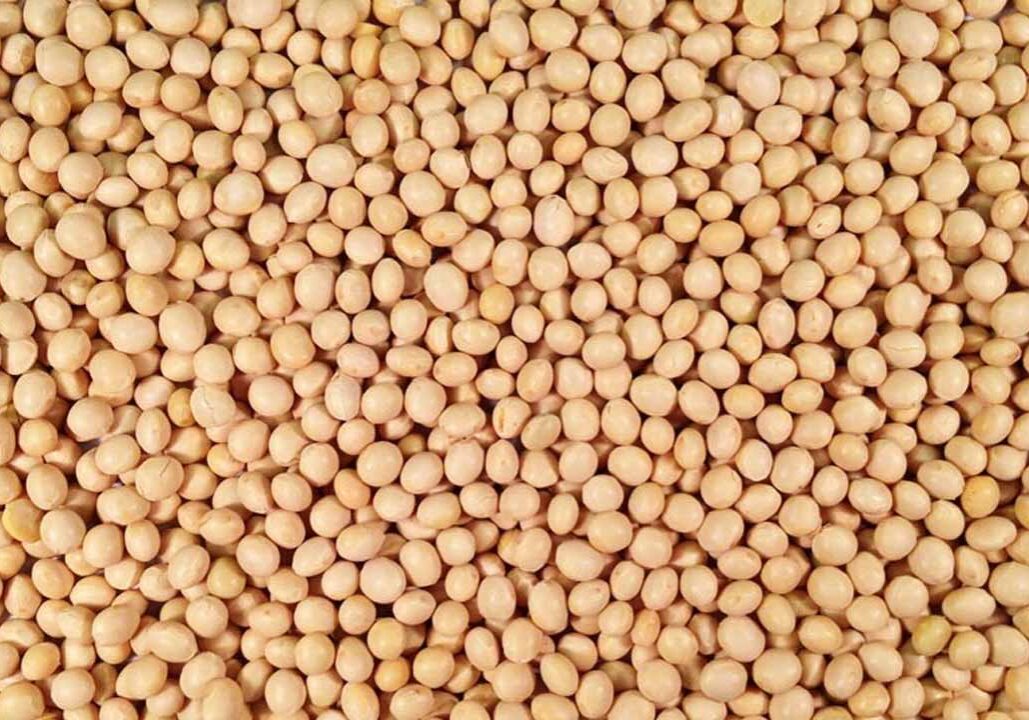 Soybeans