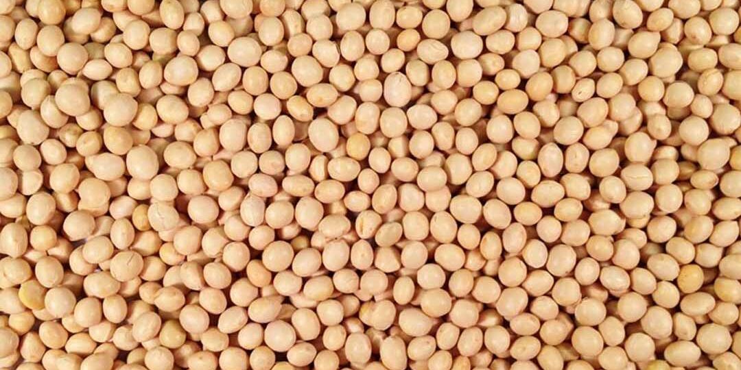 Soybeans